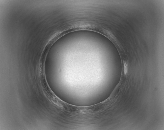 X0000057570579200509161035