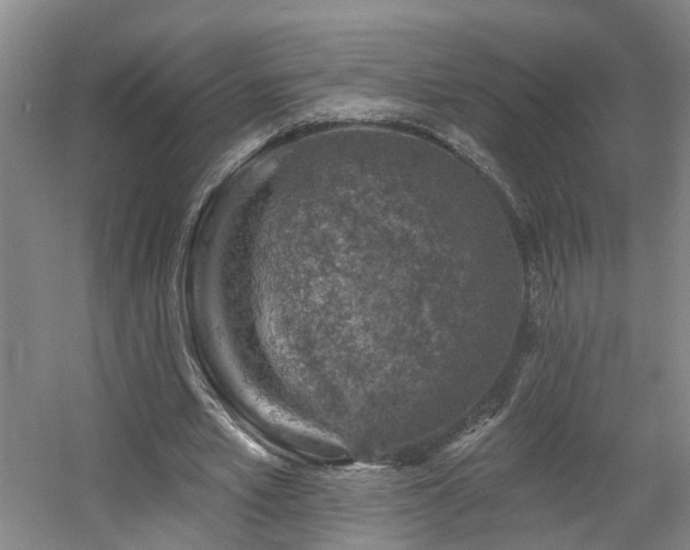 X0000057570581200509161035