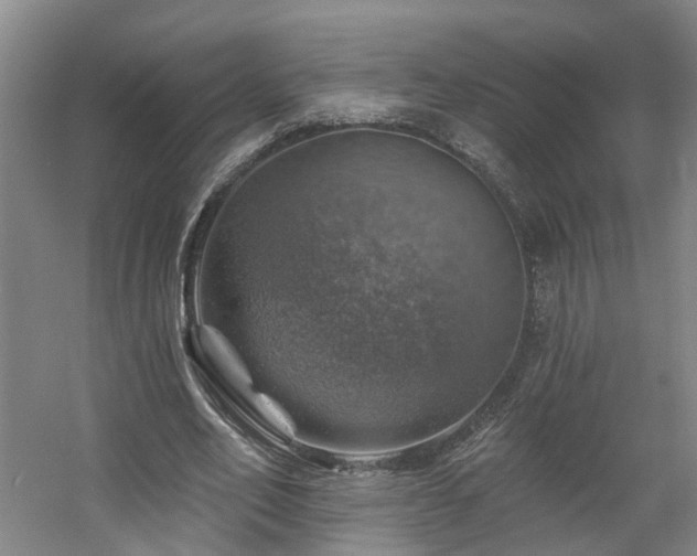 X0000057570582200509161035