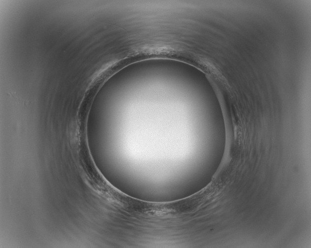 X0000057570583200509161035