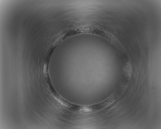 X0000057570610200509161035