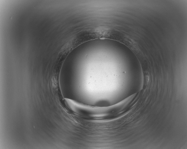 X0000057570613200509161035