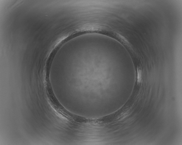 X0000057570627200509161034