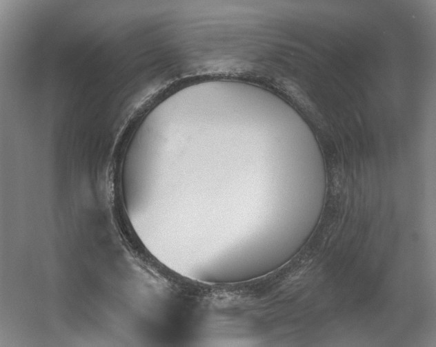 X0000057570632200509161034