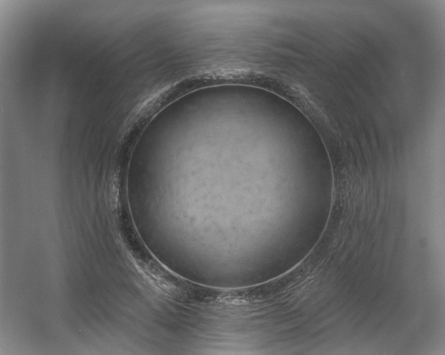 X0000057570640200509161034