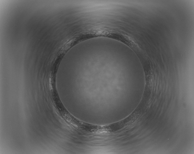 X0000057570643200509161034