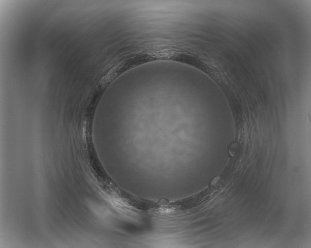 X0000057570647200509161034