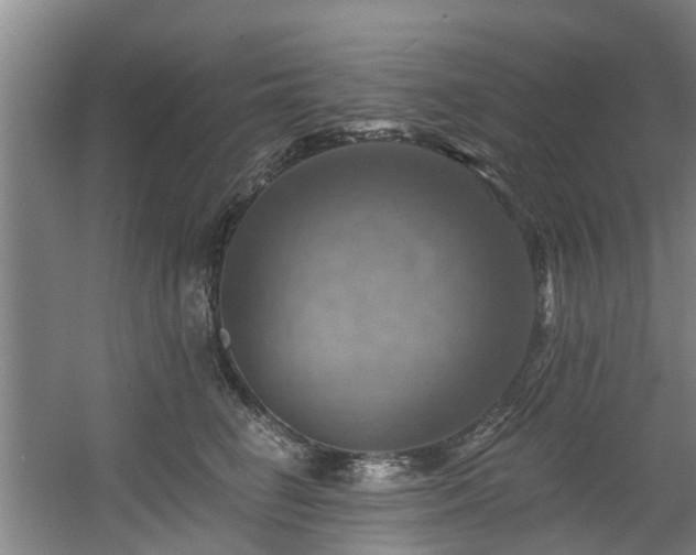 X0000057570662200509161034