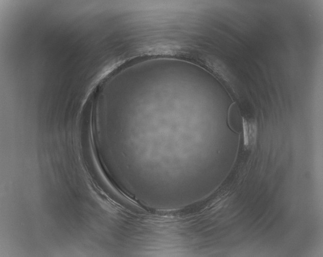 X0000057570675200509161034