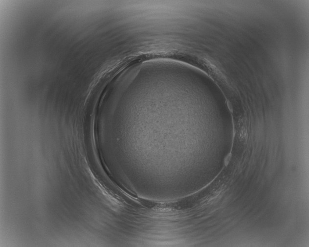 X0000057570685200509161034