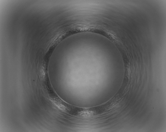 X0000057570691200509161033