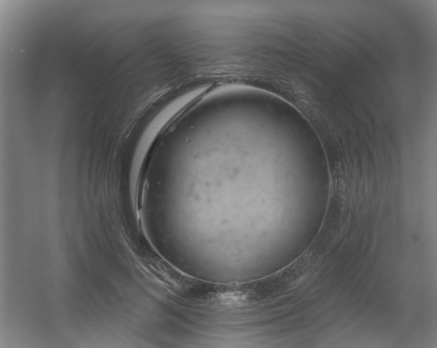 X0000057570692200509161033