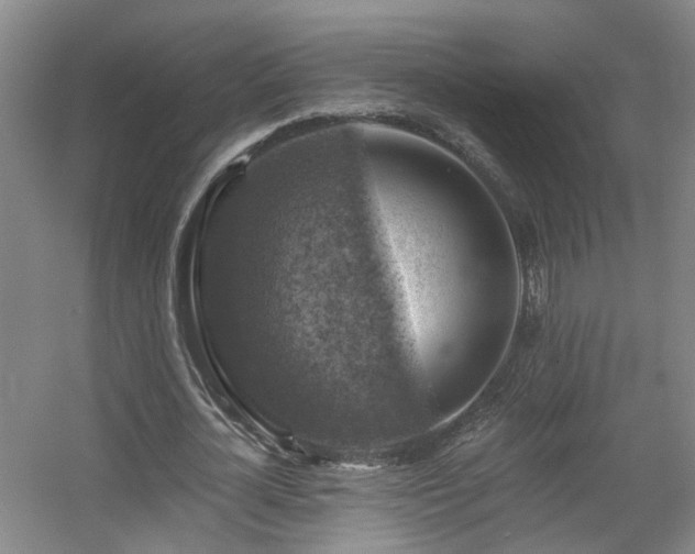 X0000057570724200509161032