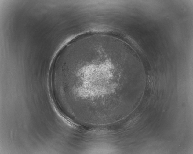 X0000057570726200509161032