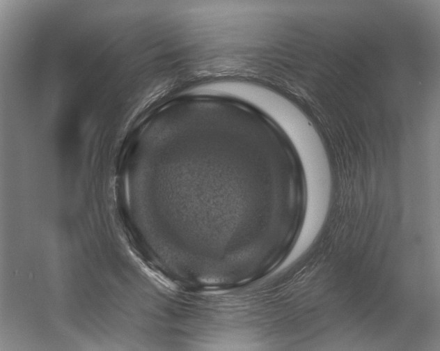 X0000057570735200509161032