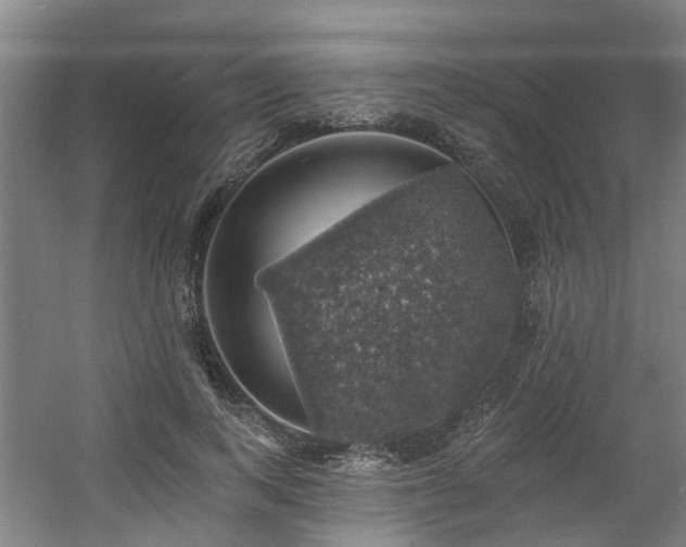 X0000057570743200509161033
