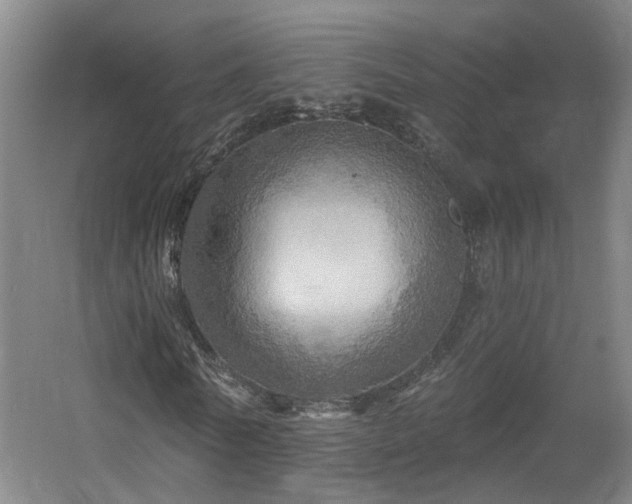 X0000057570770200509161032
