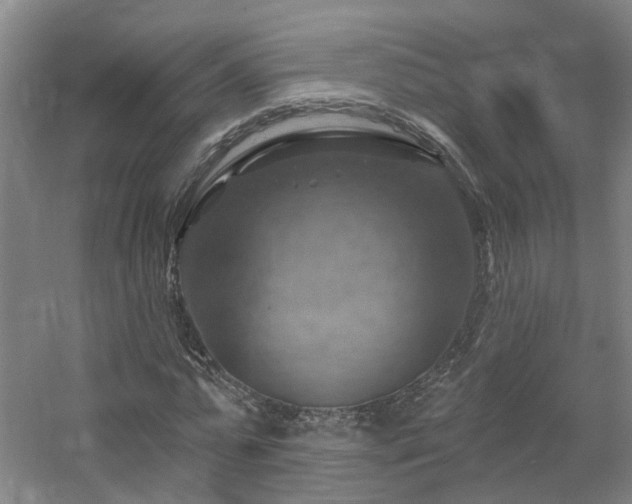 X0000057570775200509161032