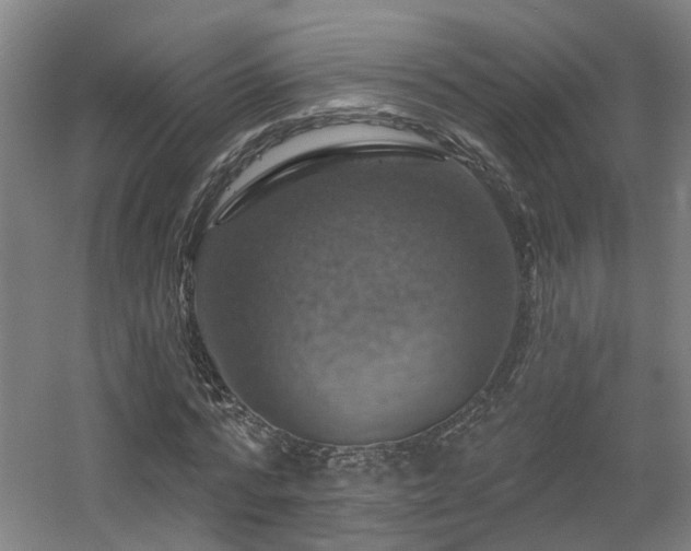 X0000057570776200509161032