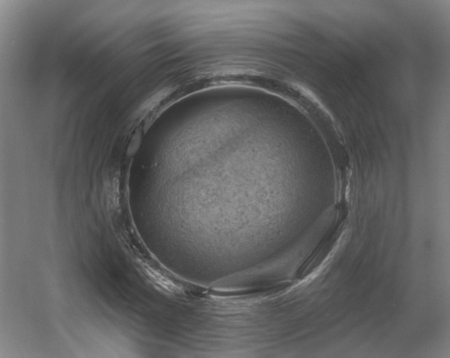 X0000057570777200509161032