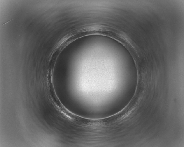 X0000057570778200509161032
