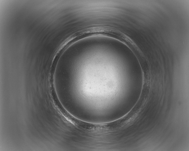 X0000057570786200509161032