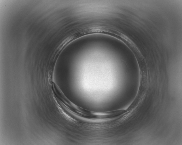 X0000057570801200509161032