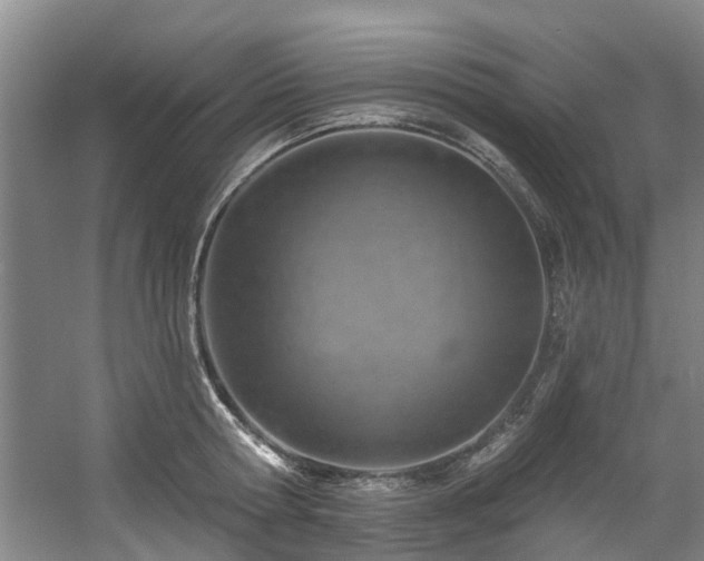 X0000057570802200509161032