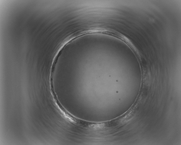 X0000057570810200509161031