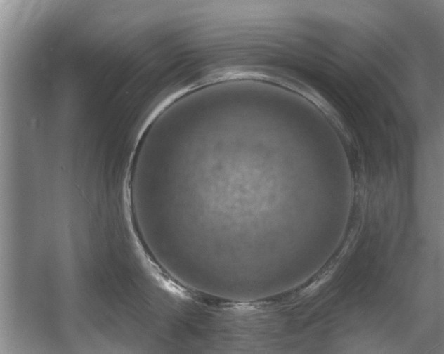 X0000057570814200509161031