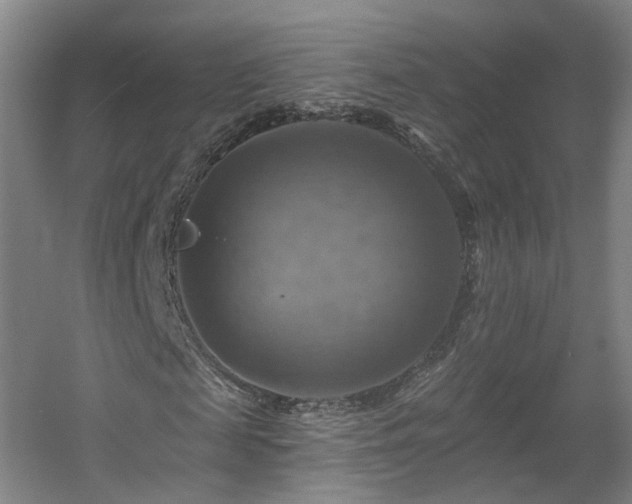 X0000057570817200509161031