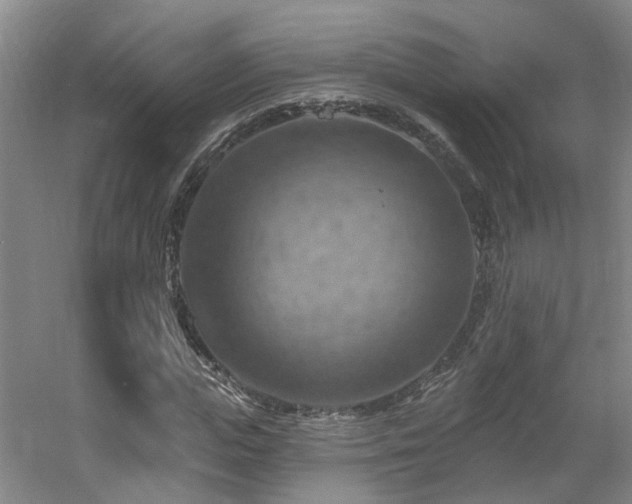 X0000057570823200509161031