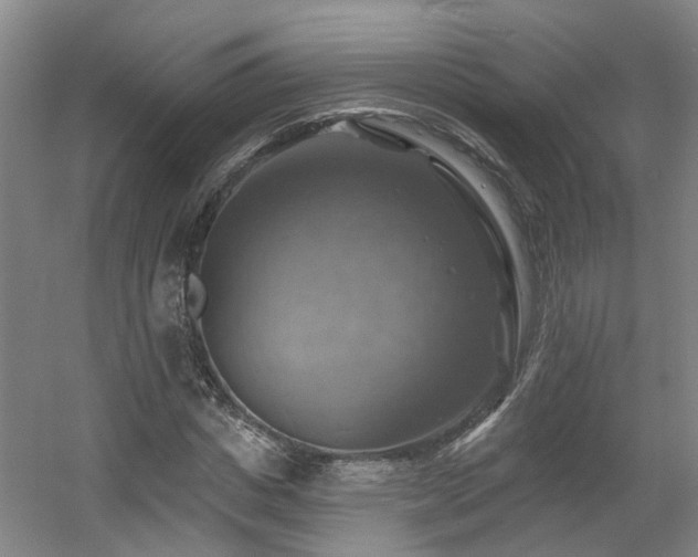 X0000057570825200509161031