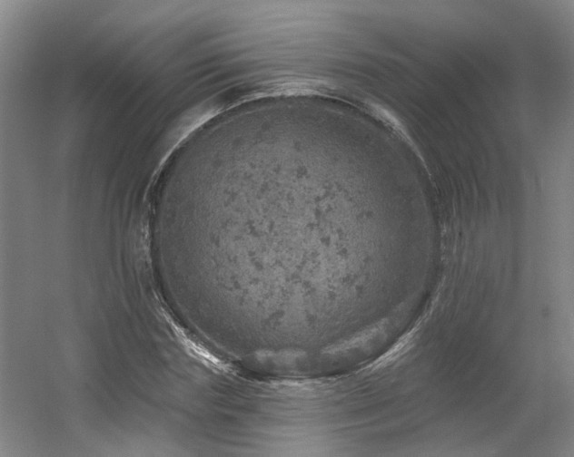 X0000057570827200509161031