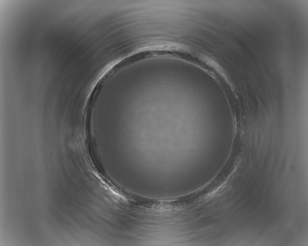 X0000057570829200509161031