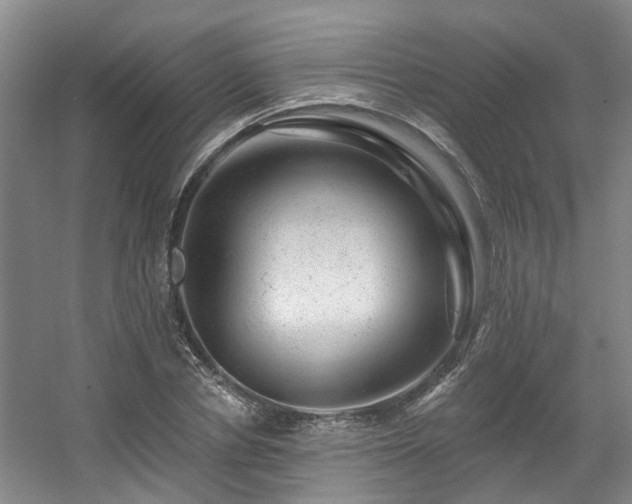 X0000057570834200509161031