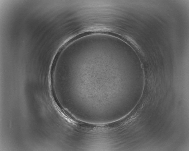 X0000057570840200509161031