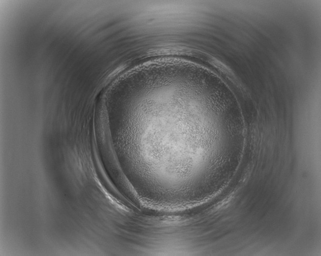 X0000057570841200509161031