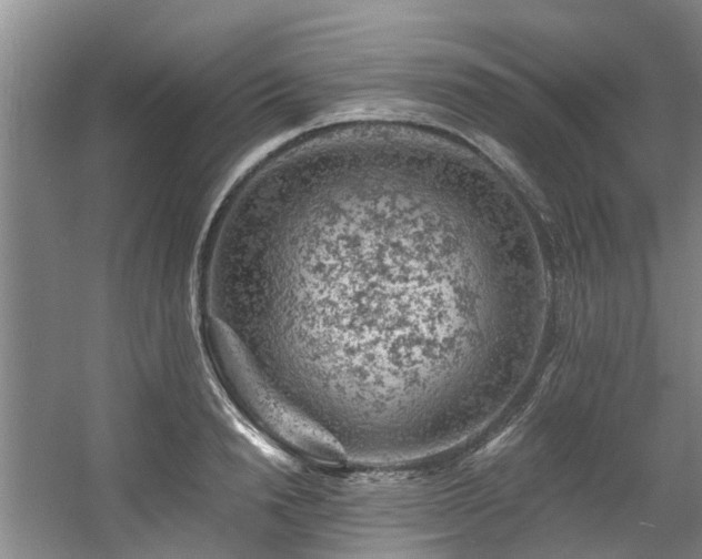 X0000057570846200509161031