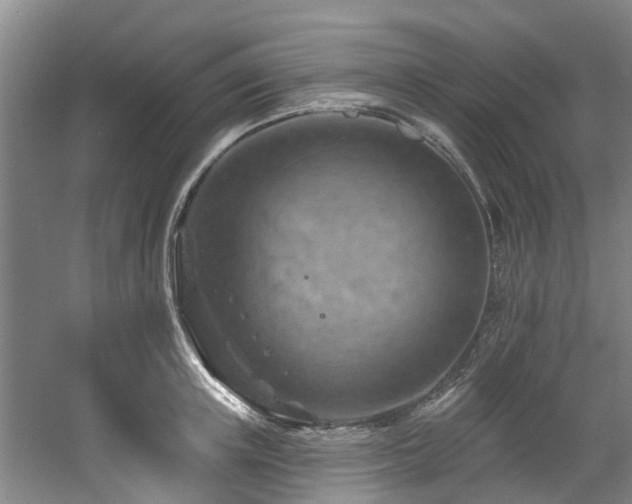 X0000057570851200509161031