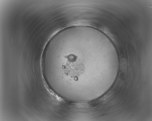 X0000057570856200509161031