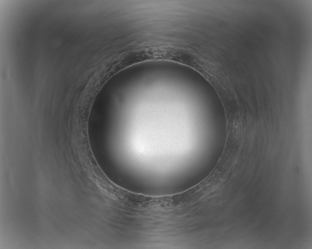 X0000057570865200509161031