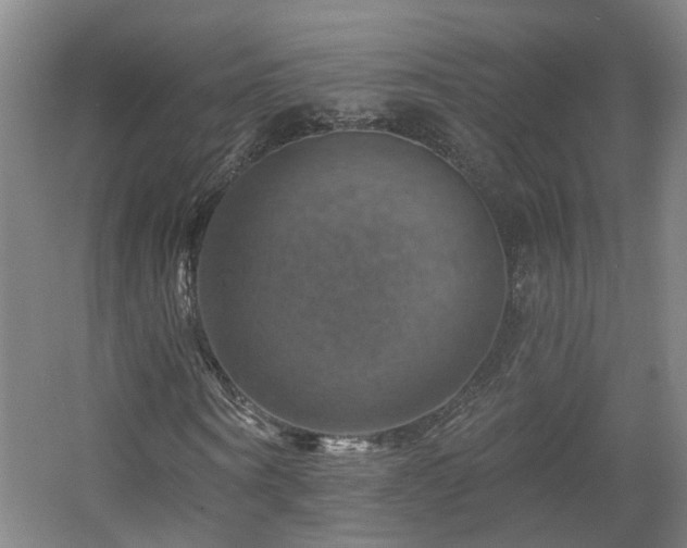 X0000057570866200509161031
