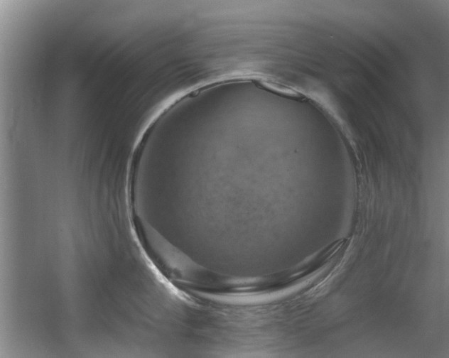 X0000057570910200509161030