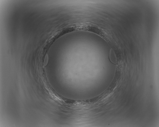 X0000057570913200509161029