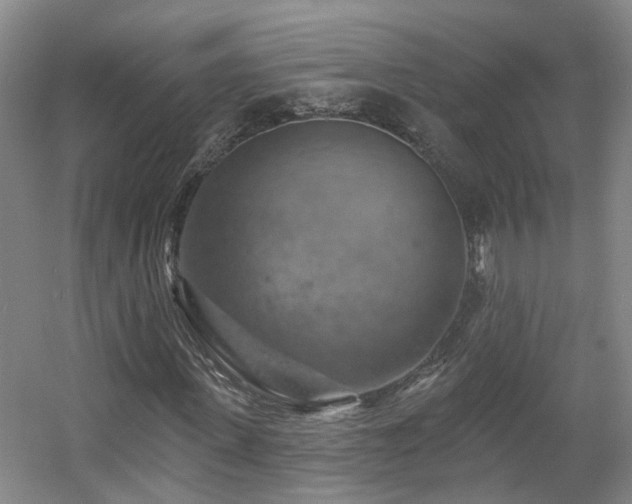 X0000057570915200509161029
