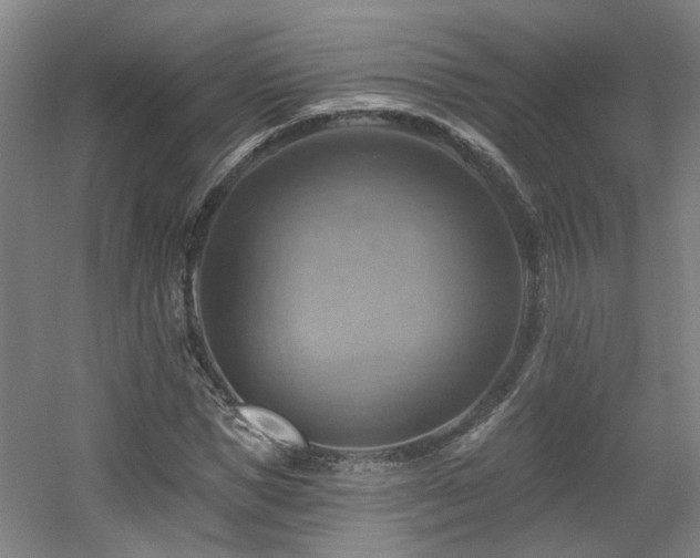 X0000057570921200509161029