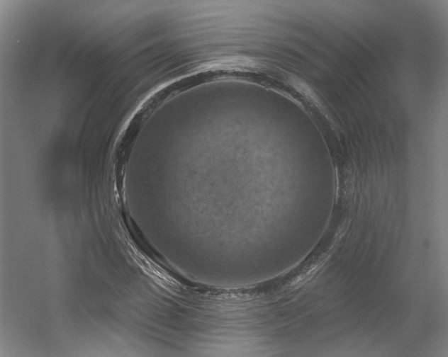 X0000057570923200509161029