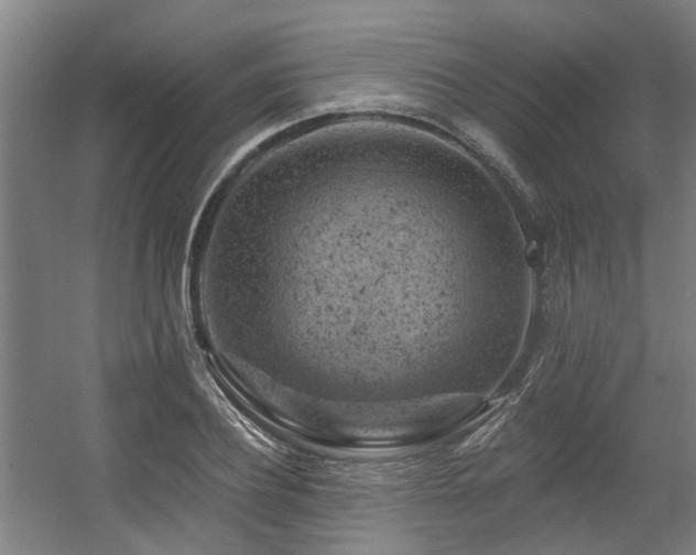 X0000057570932200509161029