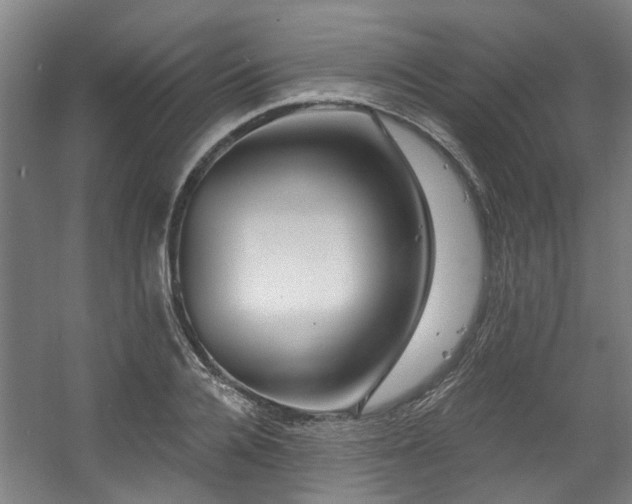 X0000057570936200509161029